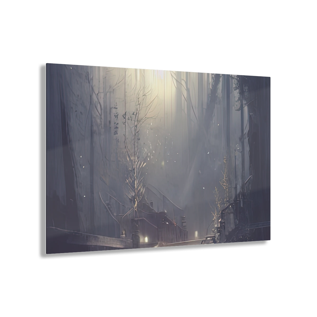 Acrylic Print | Nightless Woods